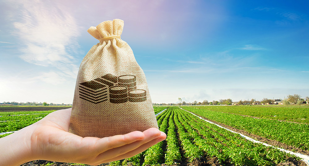 6 dicas para melhorar a gestão financeira da propriedade rural