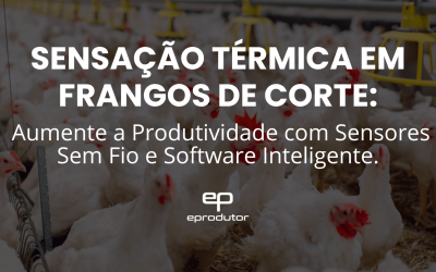 Sensação Térmica em Frangos de Corte: Aumente a Produtividade com Sensores Sem Fio e Software Inteligente