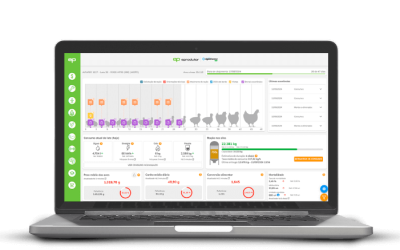 A Importância de Monitorar Entalpia na Avicultura de Corte: Tecnologia a Favor da Produtividade
