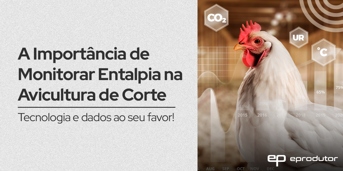Monitoramento de Entalpia na Avicultura