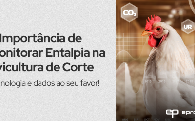 Como Monitorar a Entalpia na Avicultura de Corte Pode Melhorar o Crescimento das Aves e Reduzir Custos